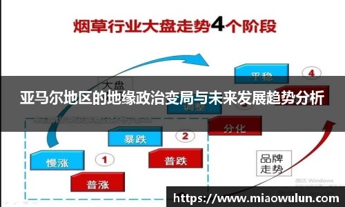 亚马尔地区的地缘政治变局与未来发展趋势分析